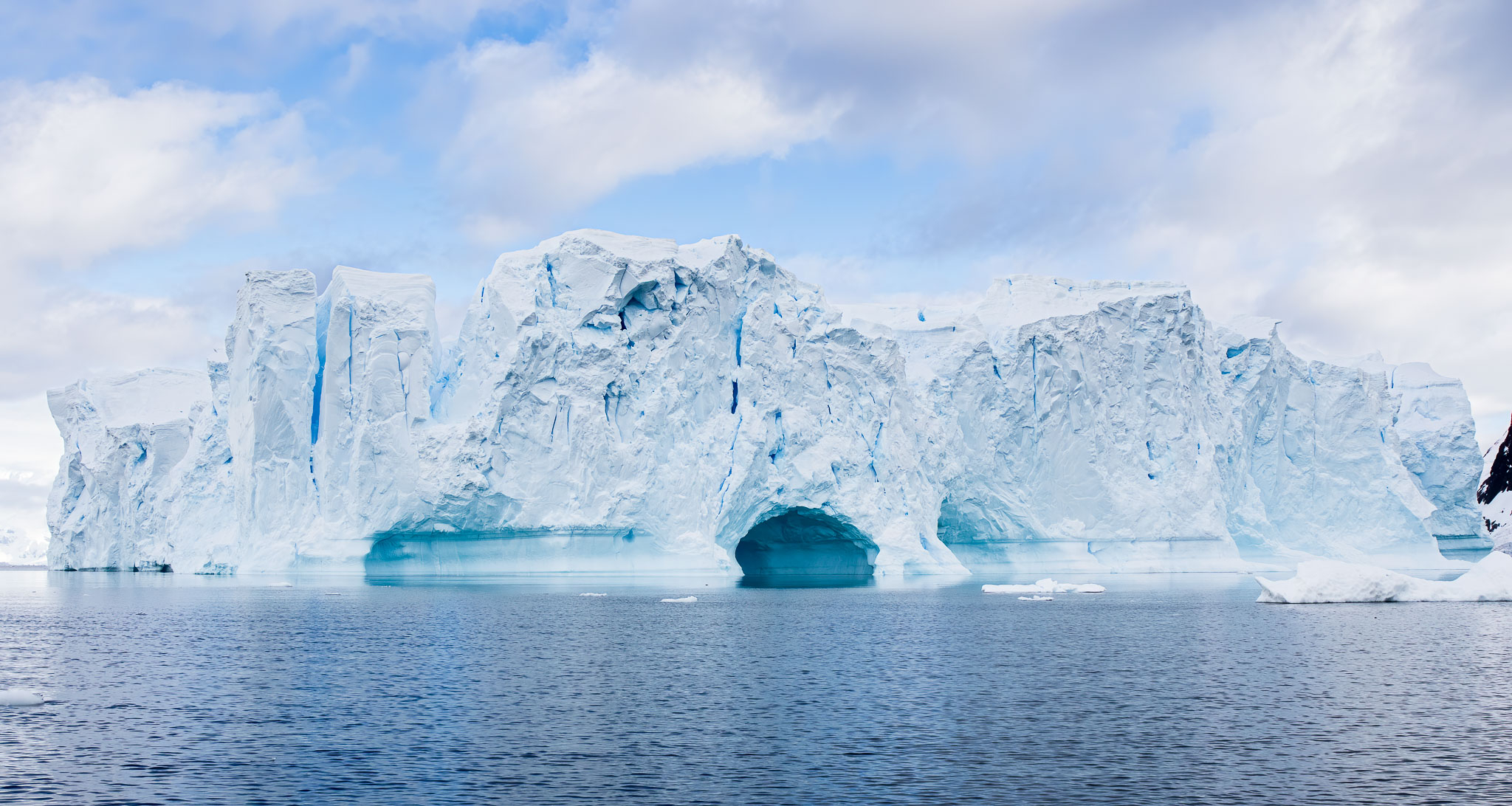 Iceberg Andvord Bay